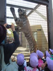 動物園(年中)
