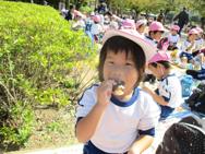 動物園(年中)