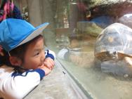 動物園(年長)