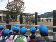 動物園(年長)