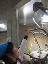 動物園(年長)