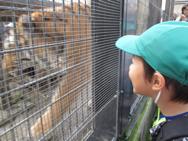 動物園(年長)
