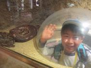 動物園(年長)