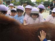 ふれあい動物園