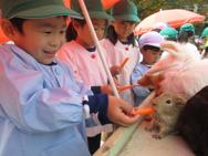ふれあい動物園