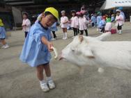 ふれあい動物園