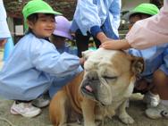 ふれあい動物園
