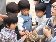ふれあい動物園
