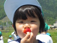春の遠足(年長)