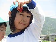 春の遠足(年長)