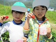 春の遠足(年長)