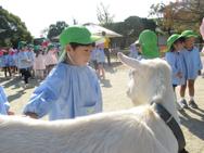 ふれあい動物園