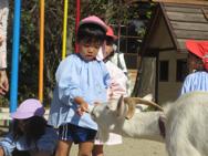 ふれあい動物園