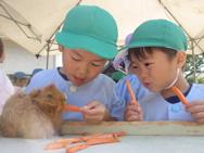 ふれあい動物園