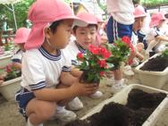 お花の苗植え