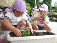 お花の苗植え