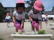 お花の苗植え