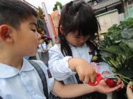 幼稚園の畑