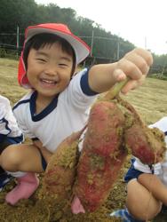 おいもほり
