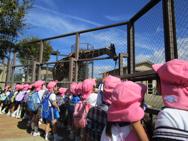 動物園(年中)