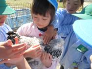 ふれあい動物園
