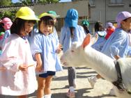 ふれあい動物園