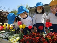 お花がいっぱい