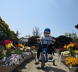 お花がいっぱい