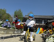 お花がいっぱい