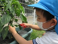 幼稚園再開!!