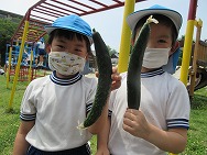 幼稚園再開!!