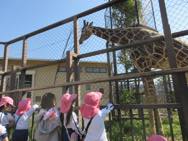 動物園
