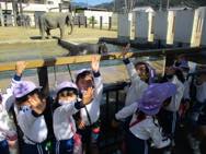 動物園