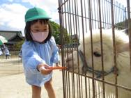 ふれあい動物園