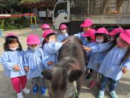 ふれあい動物園