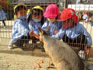 ふれあい動物園