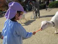 ふれあい動物園