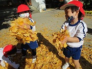 葉っぱあそび