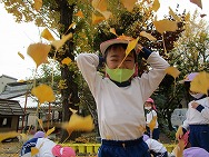葉っぱあそび