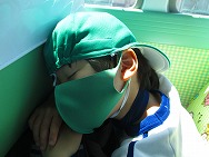 いちごがり
