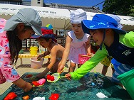 水遊び
