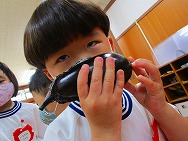 野菜の収穫