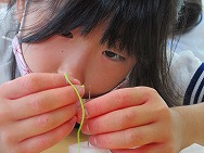 染め物・縫い物