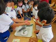 やおやさんごっこ