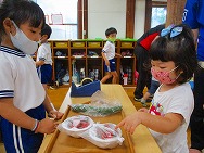 やおやさんごっこ