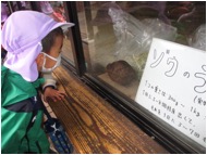 ◎動物園(年中)