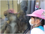 ◎動物園(年中)