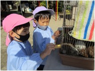 ◎ふれあい動物園