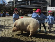 ◎ふれあい動物園