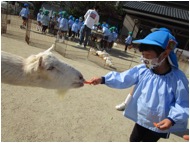 ◎ふれあい動物園